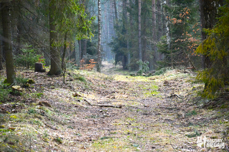 11 Kopiowanie